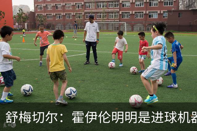 舒梅切尔：霍伊伦明明是进球机器，维韦尔来了偏要换成谢什科